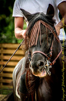 untitled-5923