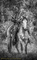 untitled-5798