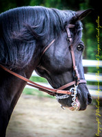 untitled-5946