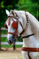 untitled-4061