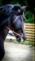 untitled-5947