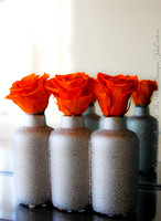 untitled-2255