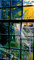 untitled-3695